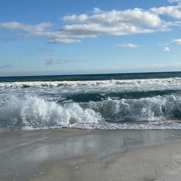 Meet your Posher, Blair - Picture 1 of 1